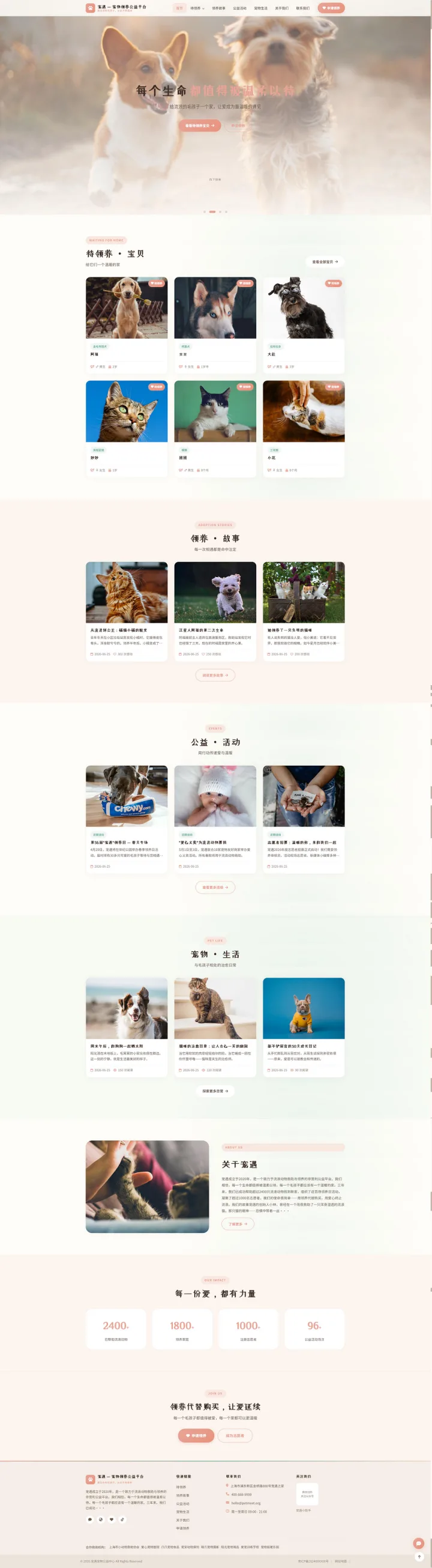 宠物领养公益官网｜暖色宠物档案与领养故事的PC页面效果图
